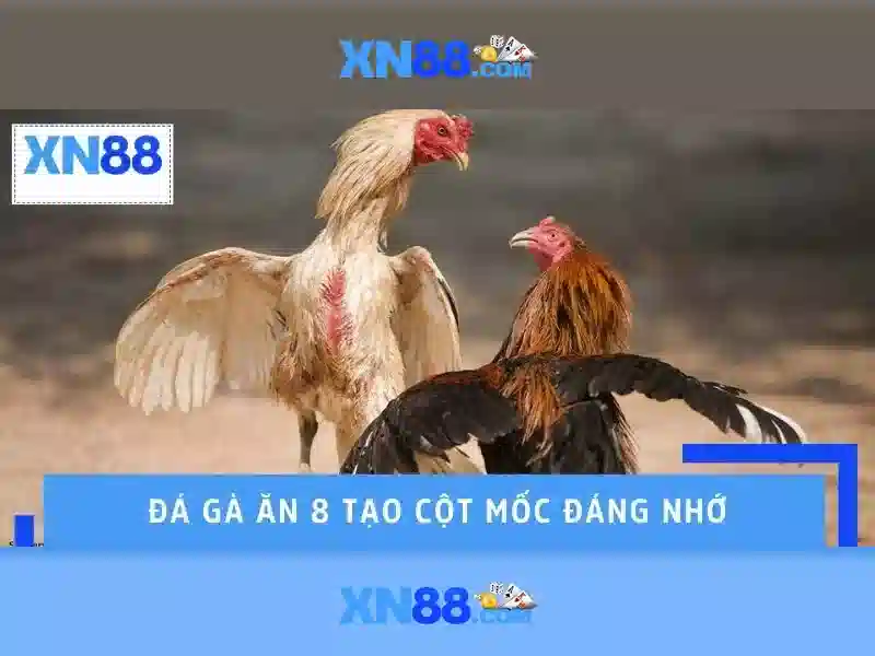 💎12bet cá cược bóng đá💎
