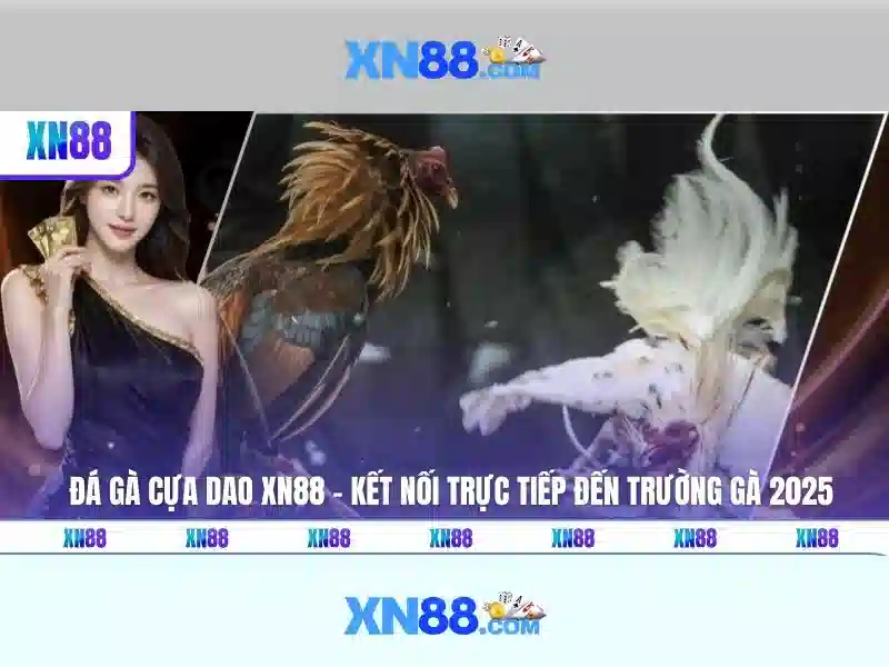  slot đổi tiền - XN88