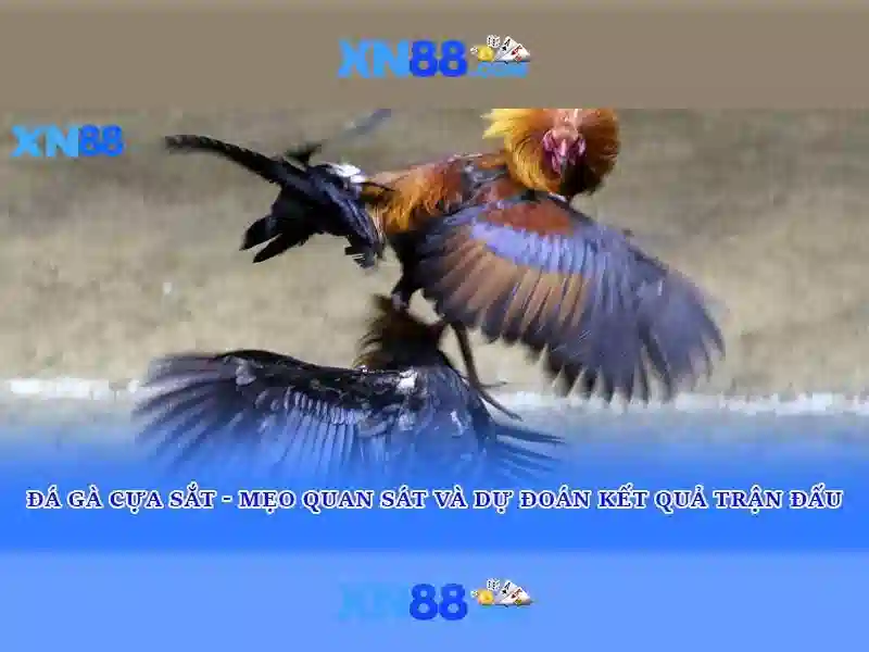 💎happy slot 888 เครดิตฟรี💎 - 888 vip slot - casino 888 free online slot machine