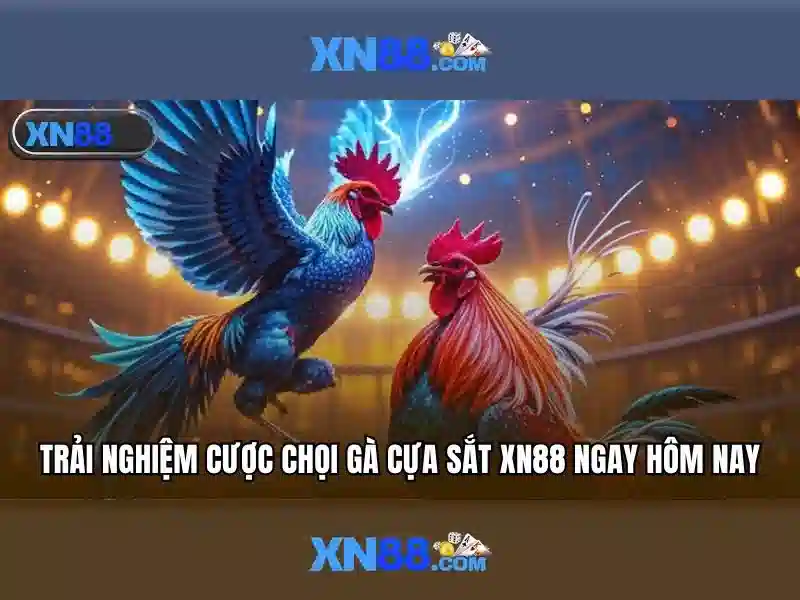 💎nhà cái thiên hạ💎