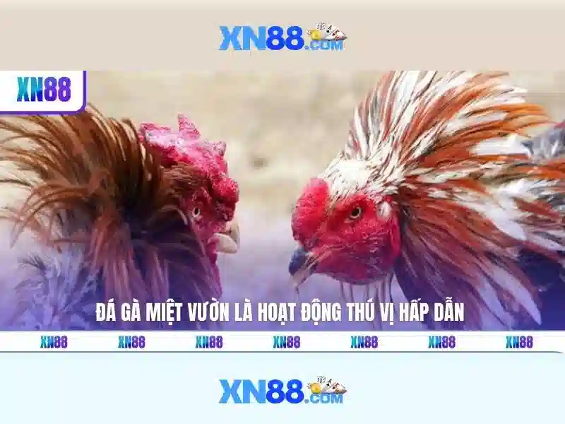  Slot miễn phí - XN88