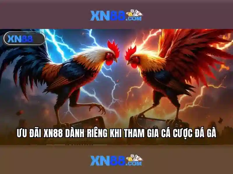 💎kèo nhà cái euro hôm nay và ngày💎