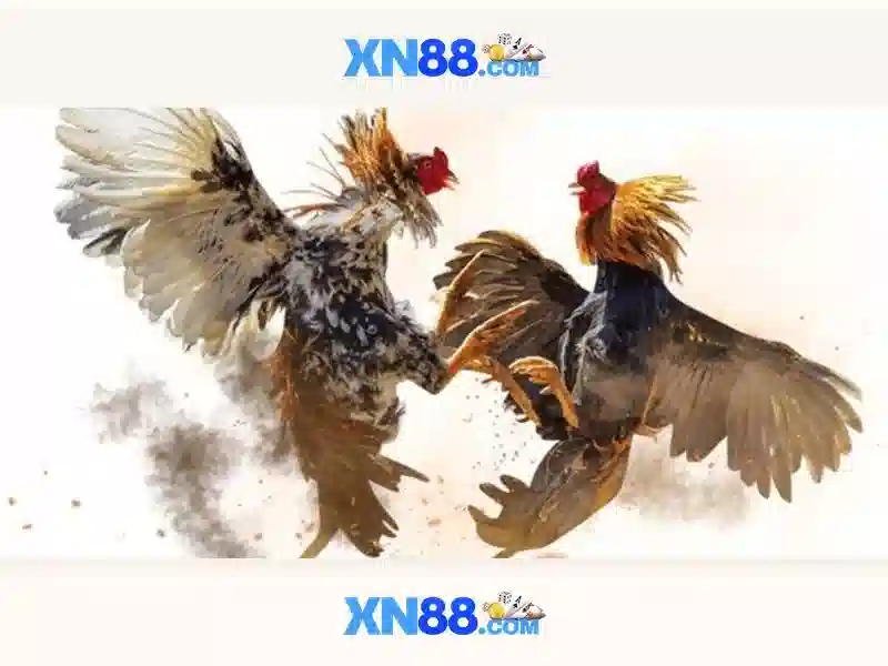  sảnh nổ hũ - XN88