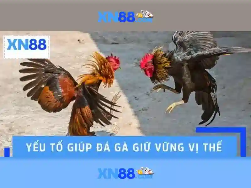 💎trang cá cược bóng đá uy tín 165.22💎