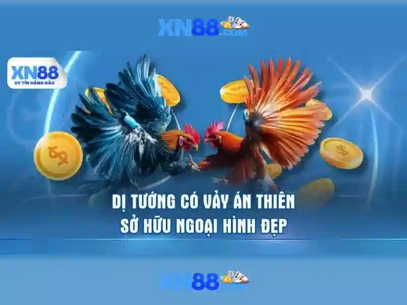 💎nhà cái l33💎