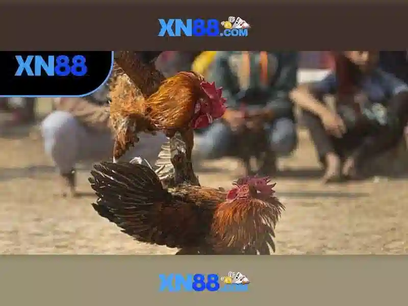 💎trang cá cược bóng đá caoviet68💎