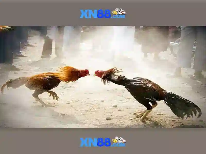 💎100 xn88 casino login register💎