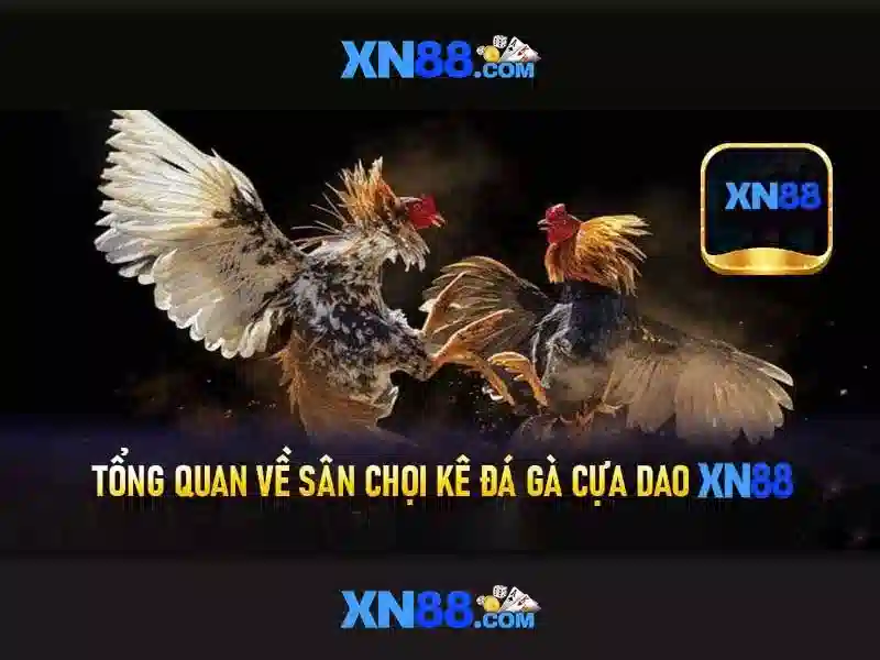 💎tai app xn88 com💎