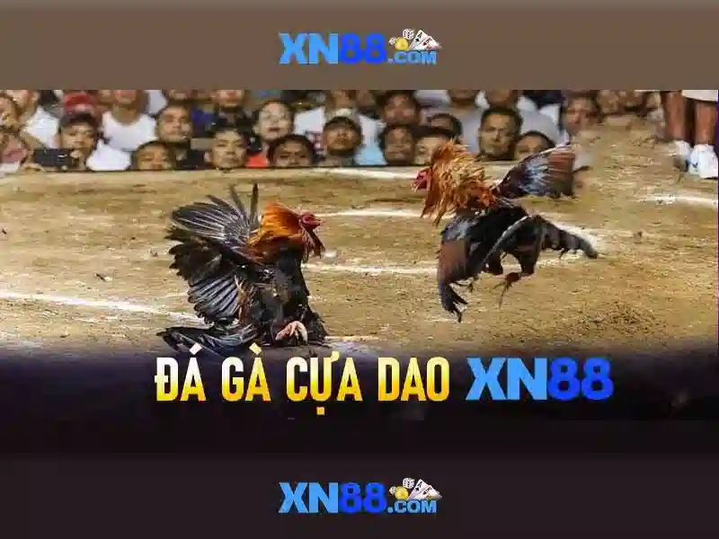  game đổi thưởng - XN88