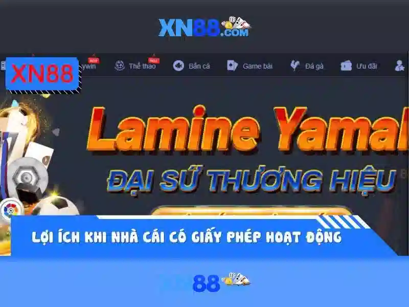 💎cách chơi bóng cá cược💎