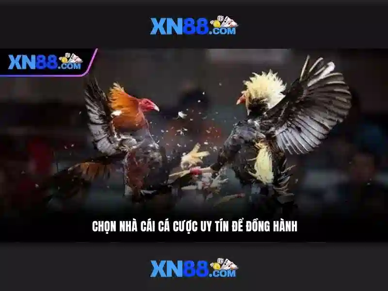 💎tỷ lệ cá cược bóng đá u23 châu á💎