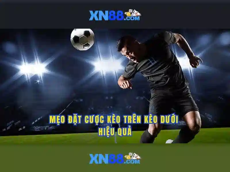 💎xn88 178 login💎