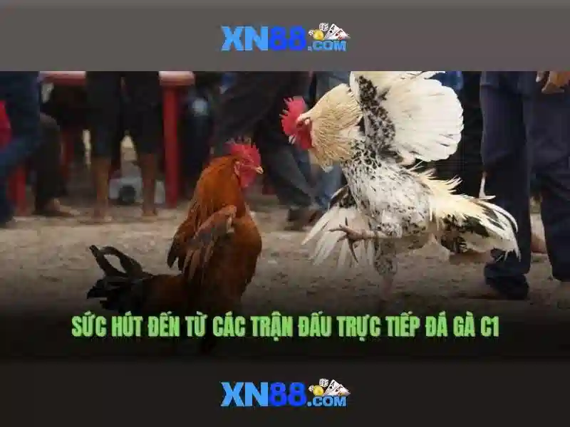 💎list of slot machines at bellagio💎