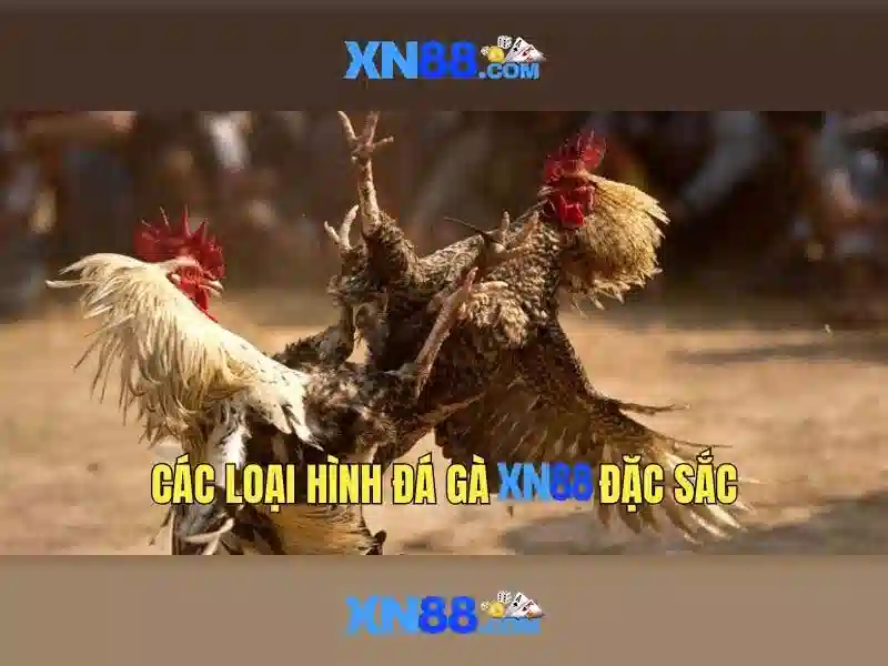 💎888 slot khuyen mai code💎