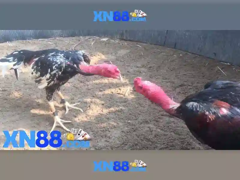 💎best 888slot slot game💎