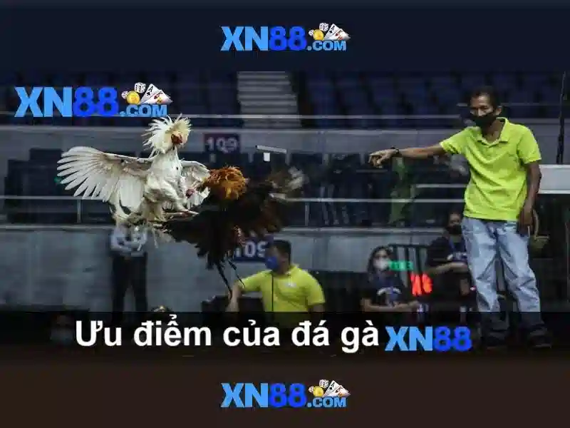 💎top 5 nhà cái game tài xỉu online💎