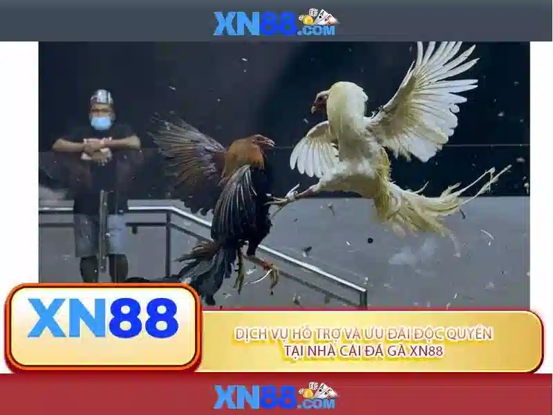  kinh nghiệm - XN88