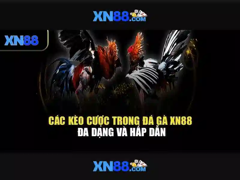 💎saigon333 nhà cái💎