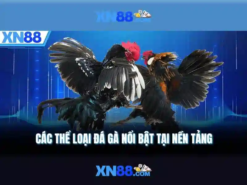 💎hình ảnh của trang chủ xn88 thành phố hồ chí minh💎