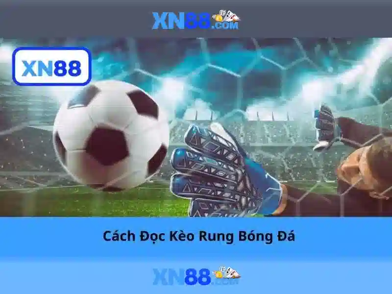 💎cá cược bóng đá cadobongda💎