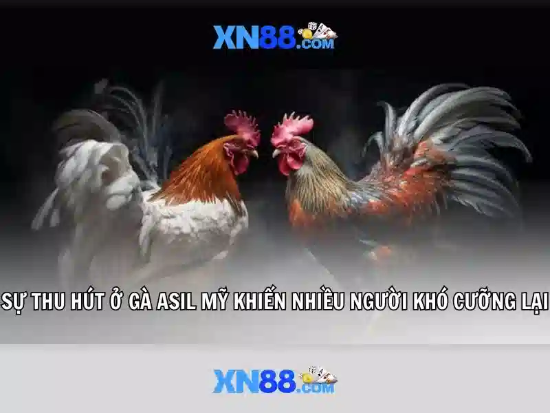 💎888slot 178 sign up💎