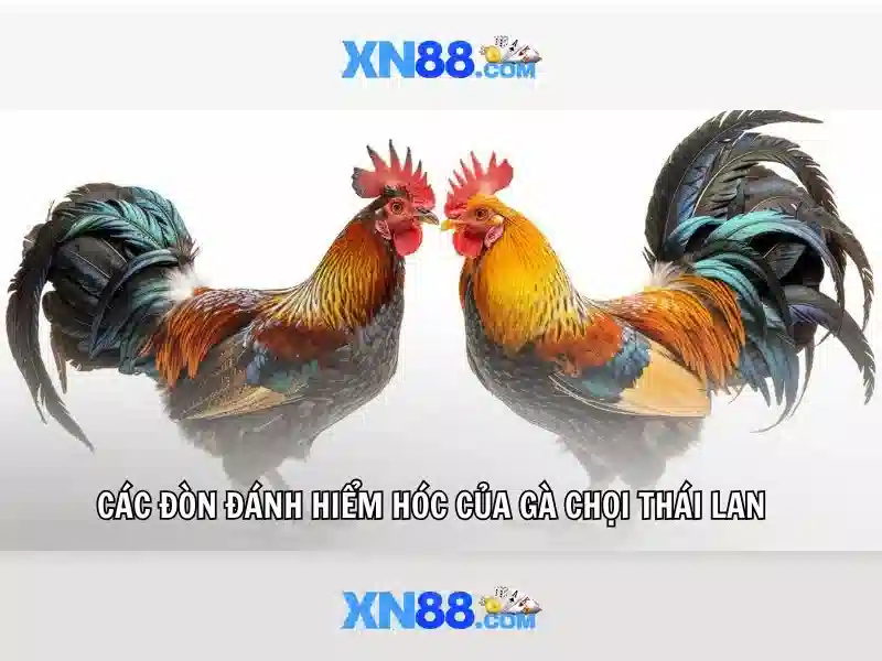 💎888 slot slot partner💎