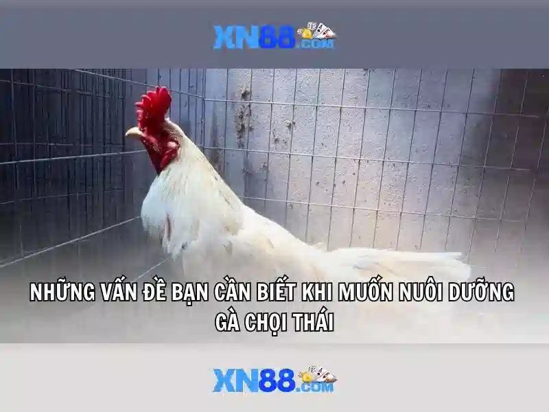  bắn cá online - XN88