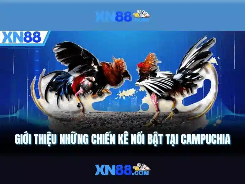💎keo nha cai .win💎