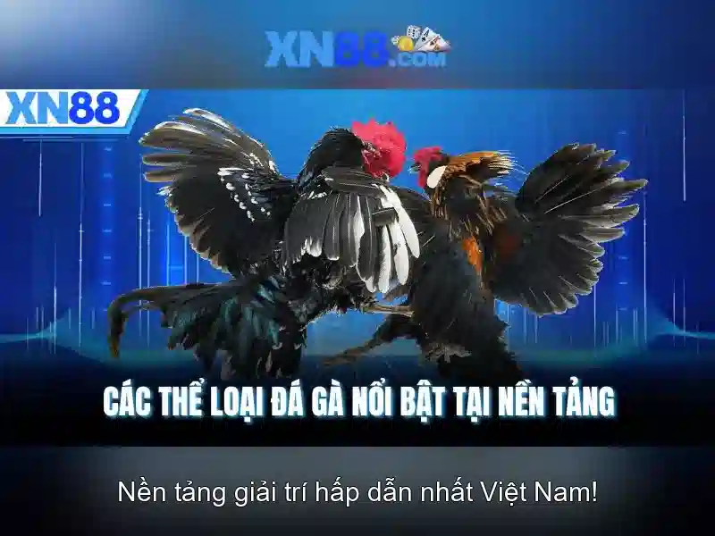 💎cá cược bóng đá online h-ngm-n💎