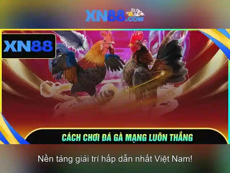 💎cá cược .tv💎
