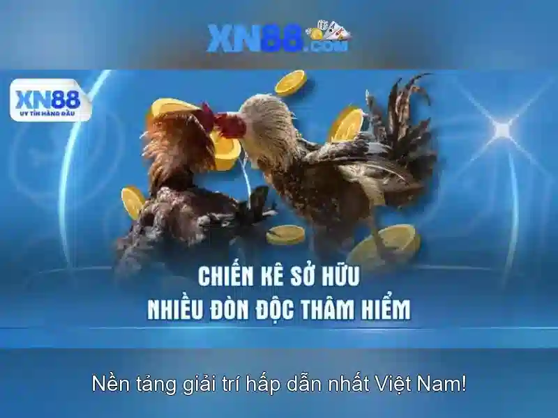 Giao diện XN88 - XN88