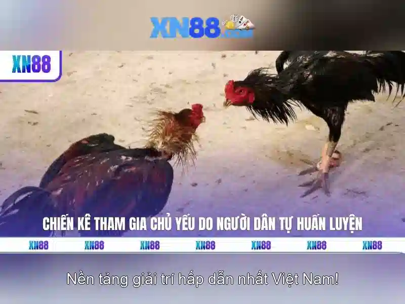 💎888slot slot bị thẻ đỏ💎