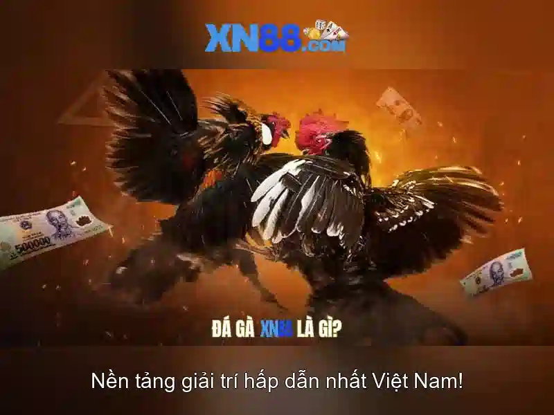 💎188bet nhà cái thể thao💎