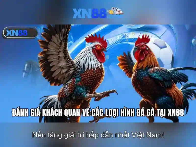 XN88 - XN88