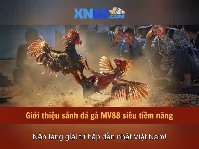 💎xn88 casino link💎