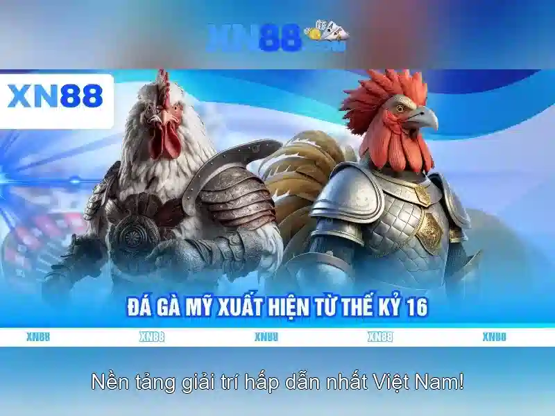💎nhà cái uy tín 88.net💎