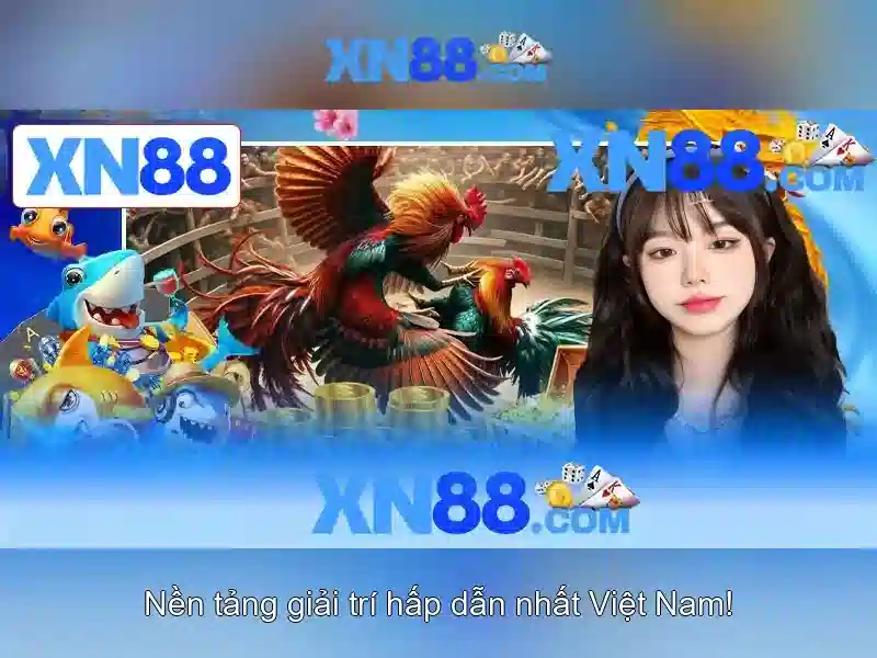 💎xe đạp điện xn88💎