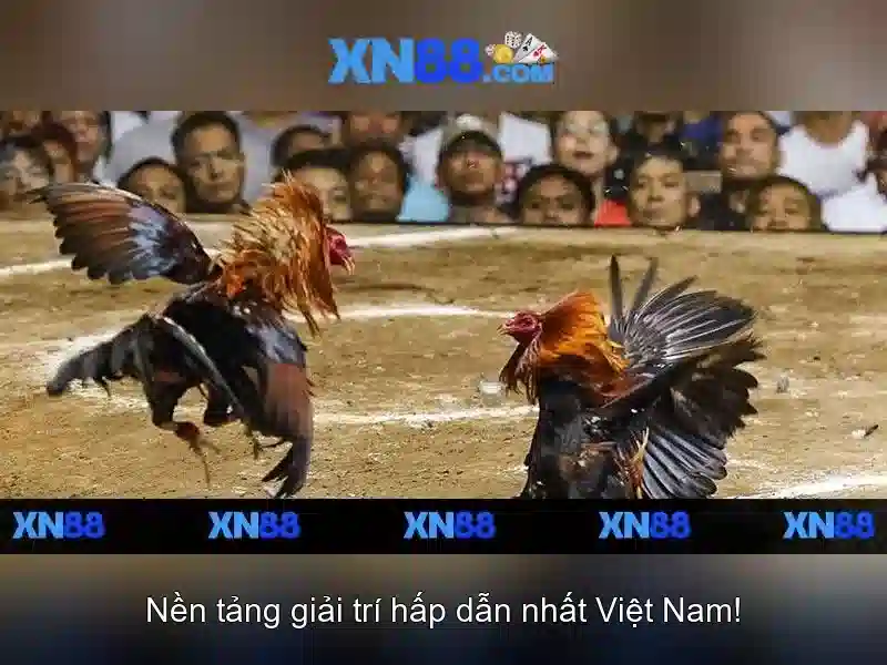 💎danh sách khách sạn ở bạc liêu💎
