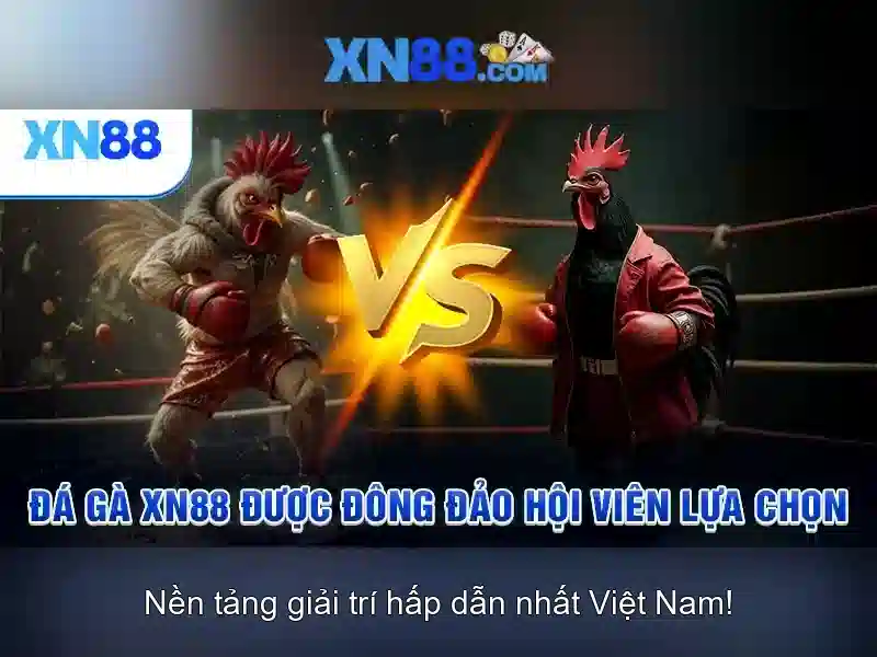 💎777 xn88 casino apk💎