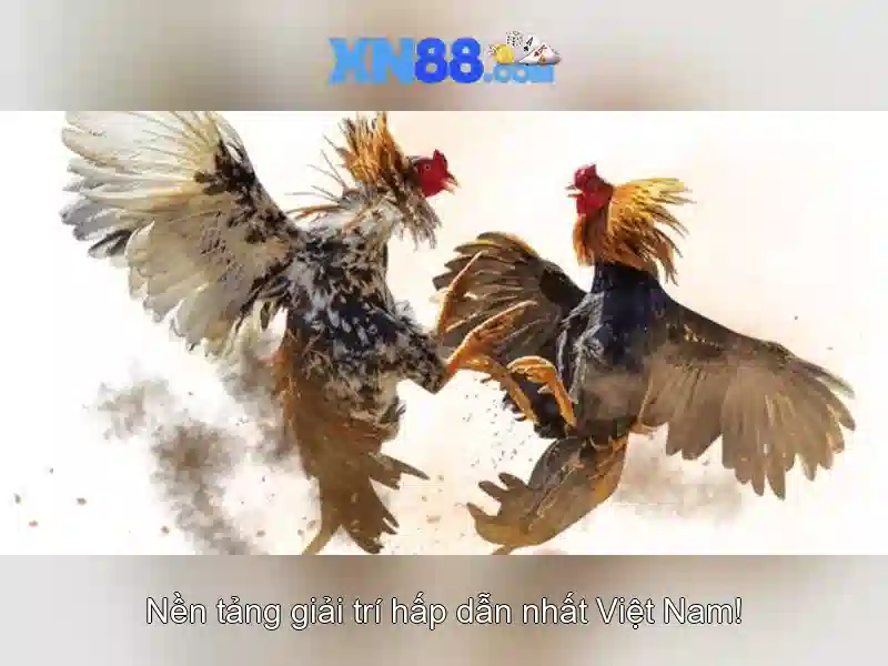 💎trực+tiếp+bóng+đá+kèo+nhà+cái+888💎