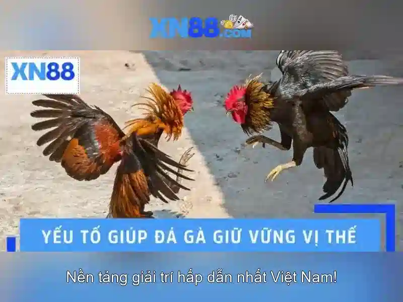 💎kèo nhà cái soikeonhacai.co💎
