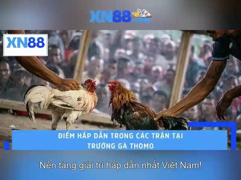 💎slot là cái gì💎