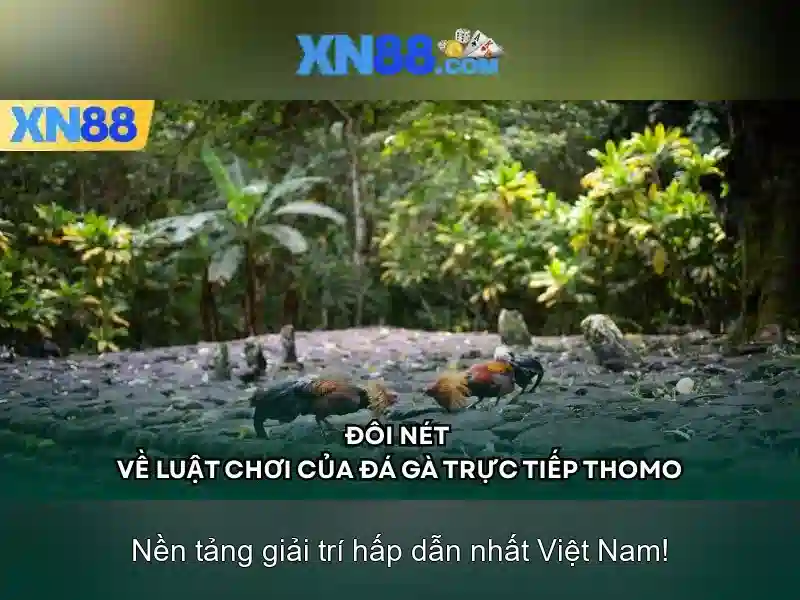 💎88 xn88 casino💎