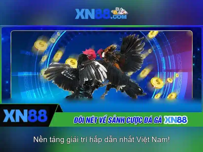 💎888 slot winrate💎