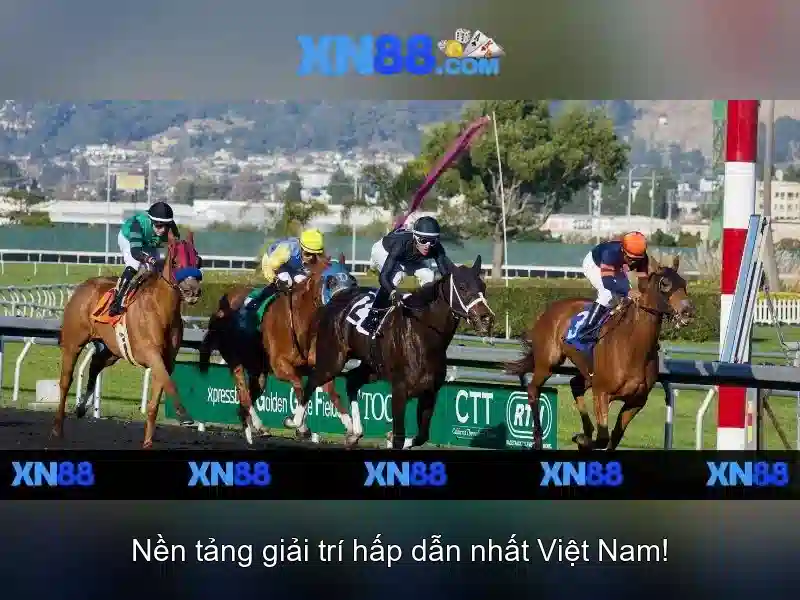 💎xn88 buffalo💎