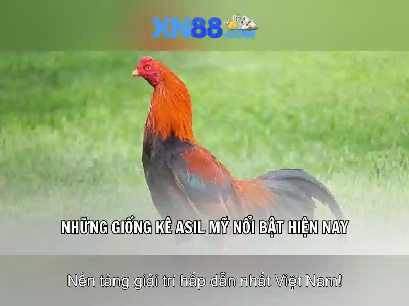 💎888 slot asia casino💎