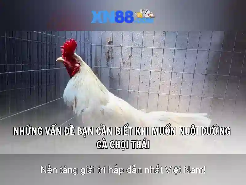 💎cai win tan nha💎