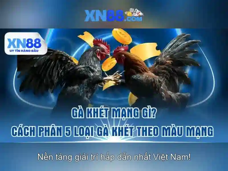 💎888 slot app login💎