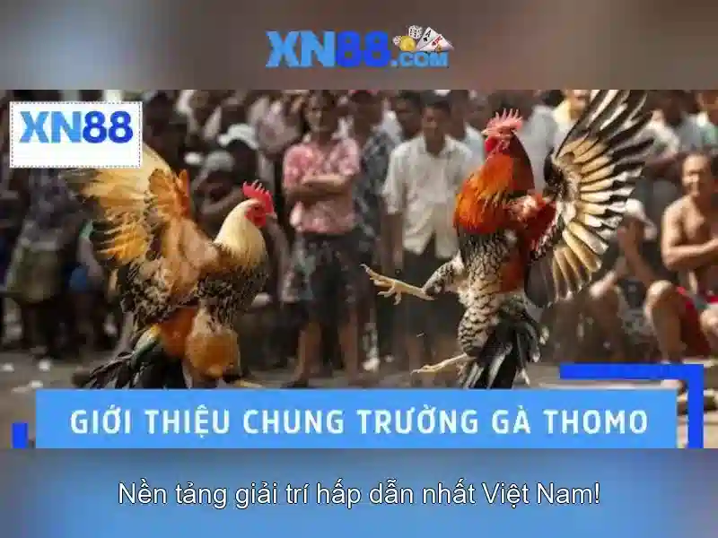 💎sv388 đăng ký cá cược sv388💎