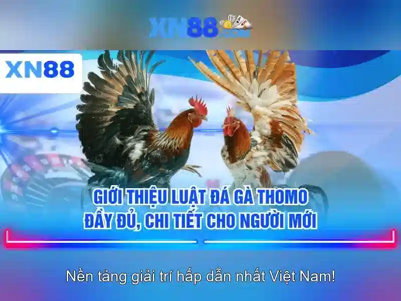 💎888slot fish💎